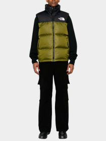 Куртки и дубленки The North Face модель NF0A3JQQPIB1 Фото