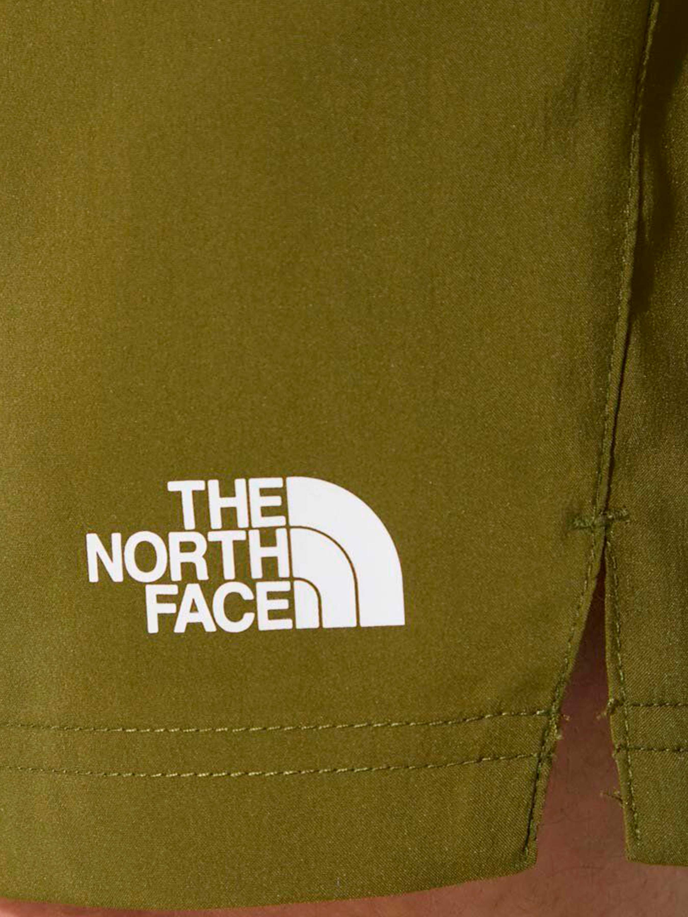 Шорты The North Face модель NF0A3O1BPIB1 Фото