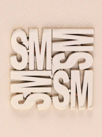Сумки Steve Madden модель SM13001031 BONE Фото