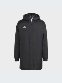 Куртки и дубленки Adidas модель IB6076-KZ Фото