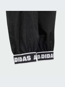 Брюки Adidas модель IN1905-KZ Фото