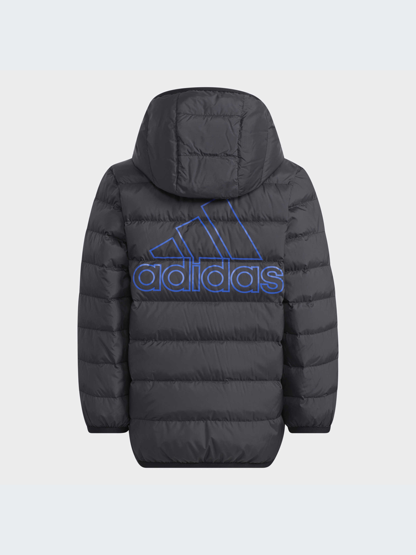 Куртки и дубленки Adidas модель H40326-KZ Фото