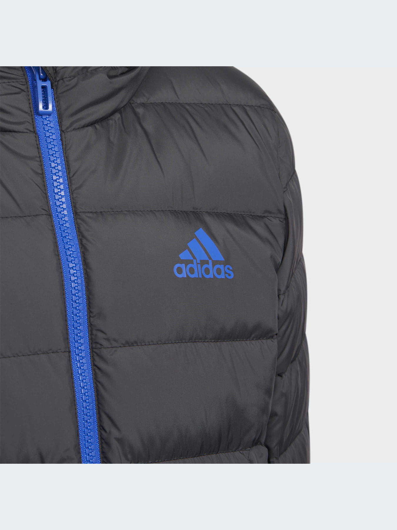 Куртки и дубленки Adidas модель H40326-KZ Фото