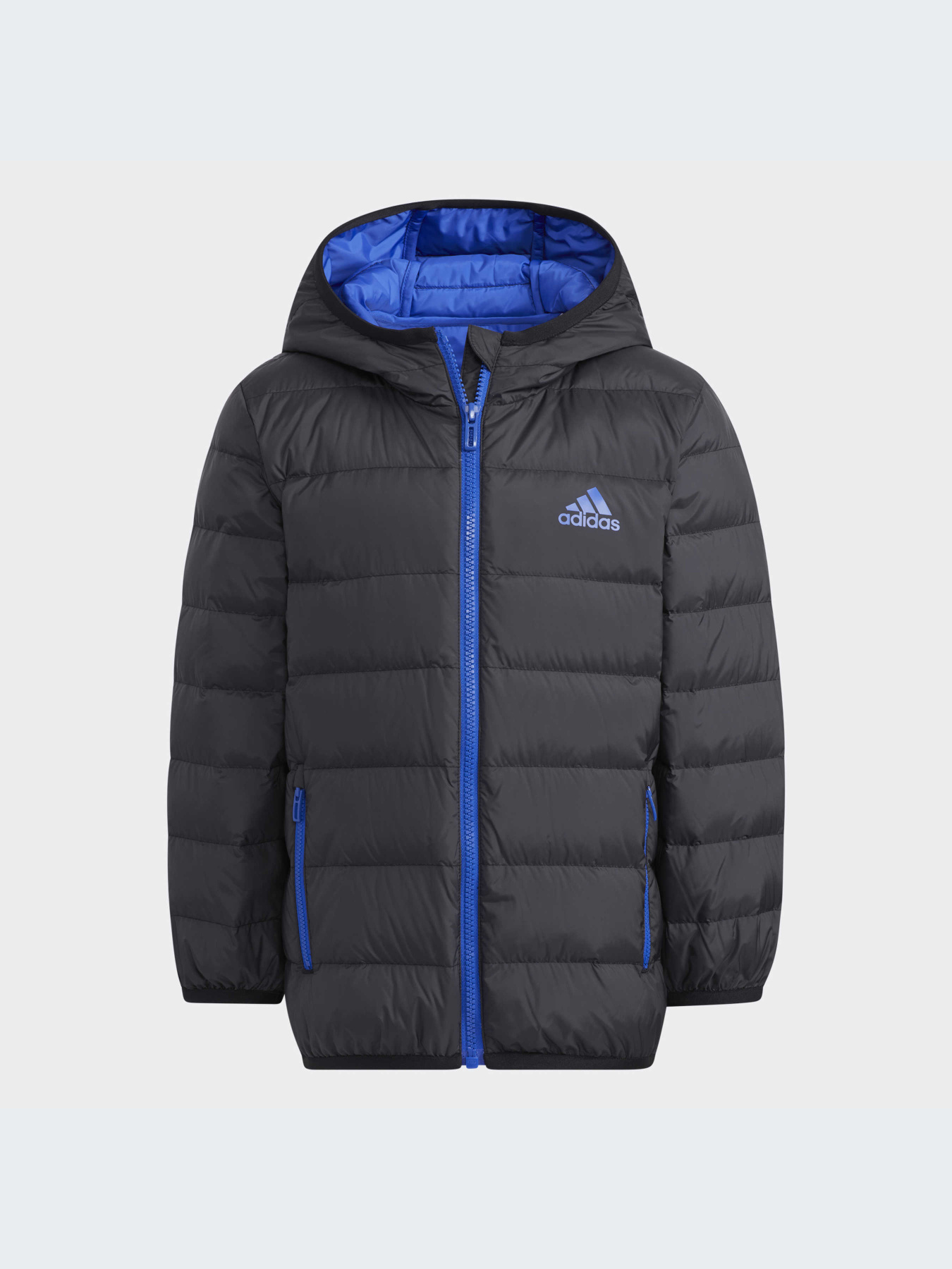 Куртки и дубленки Adidas модель H40326-KZ Фото