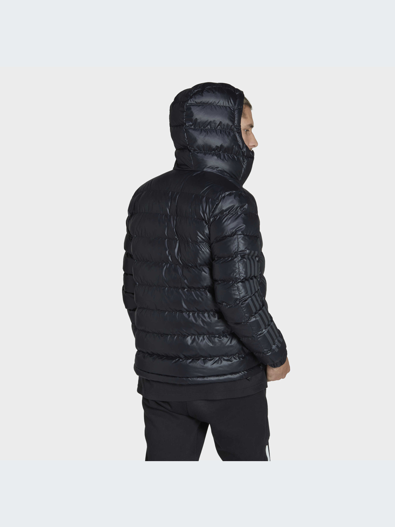 Куртки и дубленки Adidas модель HK6669-KZ Фото