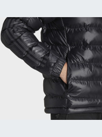 Куртки и дубленки Adidas модель HK6669-KZ Фото