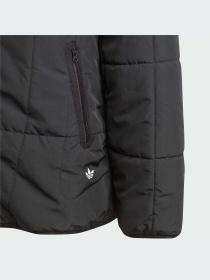 Куртки и дубленки Adidas Adventure модель IL5005-KZ Фото