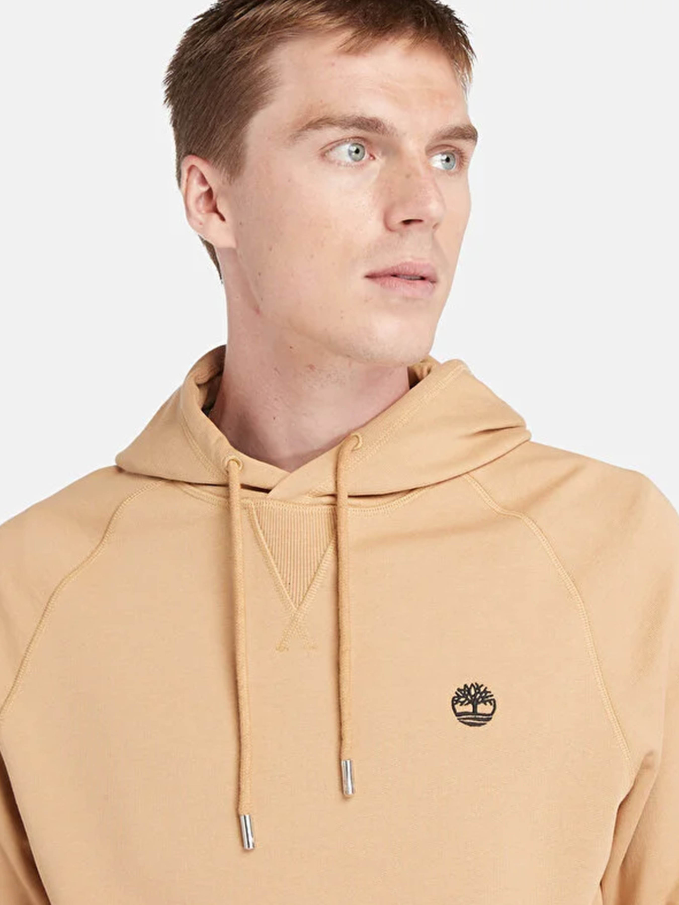Худи и свитшоты Timberland модель TB0A5U7QEH31 Фото