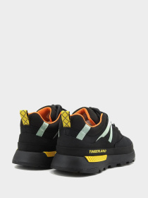 Кроссовки Timberland модель TB0A6AZDEK91 Фото
