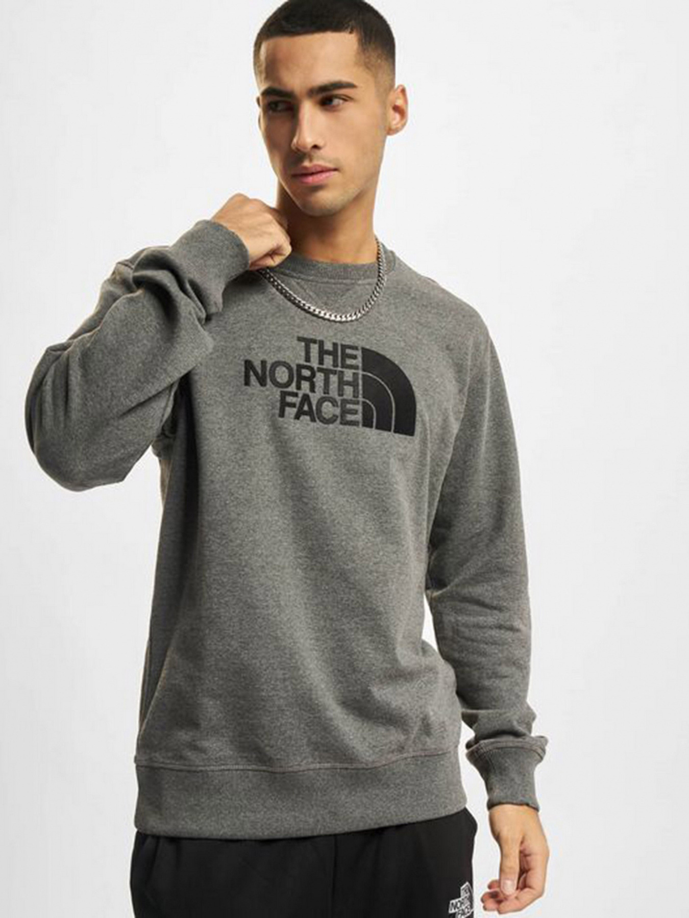 Худи и свитшоты The North Face модель NF0A4T1EDYY1 Фото