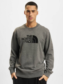Худи и свитшоты The North Face модель NF0A4T1EDYY1 Фото