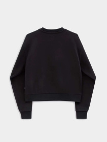 Худи и свитшоты Vans модель VN000JF5BLK1 Фото