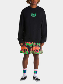 Худи и свитшоты Vans модель VN000GE5BLK1 Фото