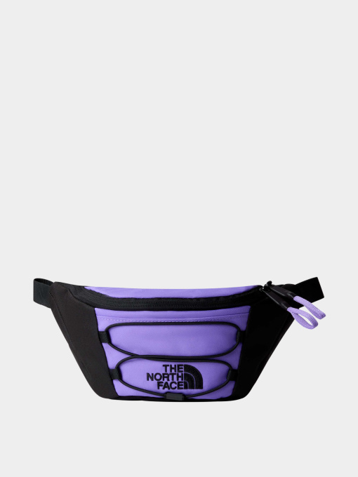 Сумки The North Face модель NF0A52TMROL1 Фото