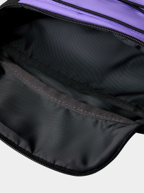 Сумки The North Face модель NF0A52TMROL1 Фото