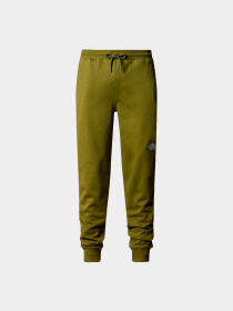 Брюки The North Face модель NF0A4SVQPIB1 Фото