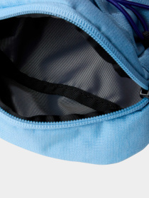 Сумки The North Face модель NF0A52UCXOX1 Фото