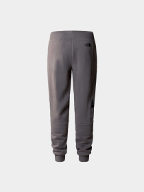 Брюки The North Face модель NF0A87F80UZ1 Фото