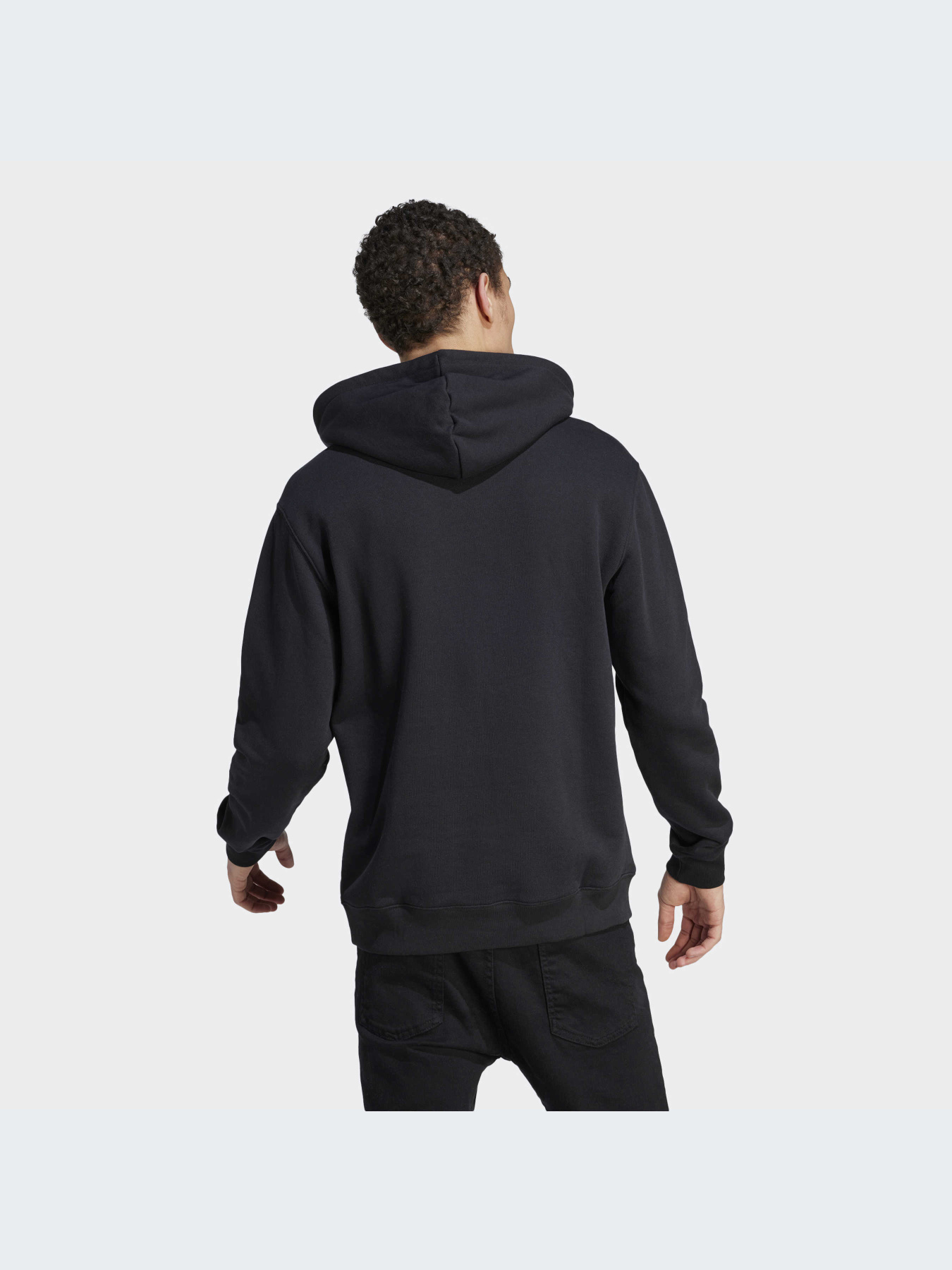 Худи и свитшоты Adidas Trefoil модель IM4489-KZ Фото
