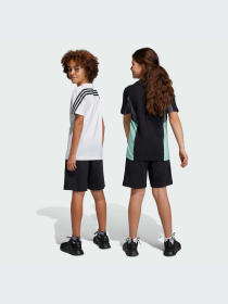 Шорты Adidas Icons модель HR6306-KZ Фото
