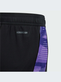 Брюки Adidas модель IP8239-KZ Фото