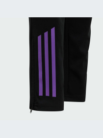 Брюки Adidas модель IP8239-KZ Фото