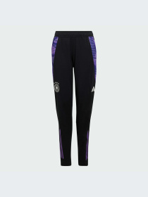 Брюки Adidas модель IP8239-KZ Фото
