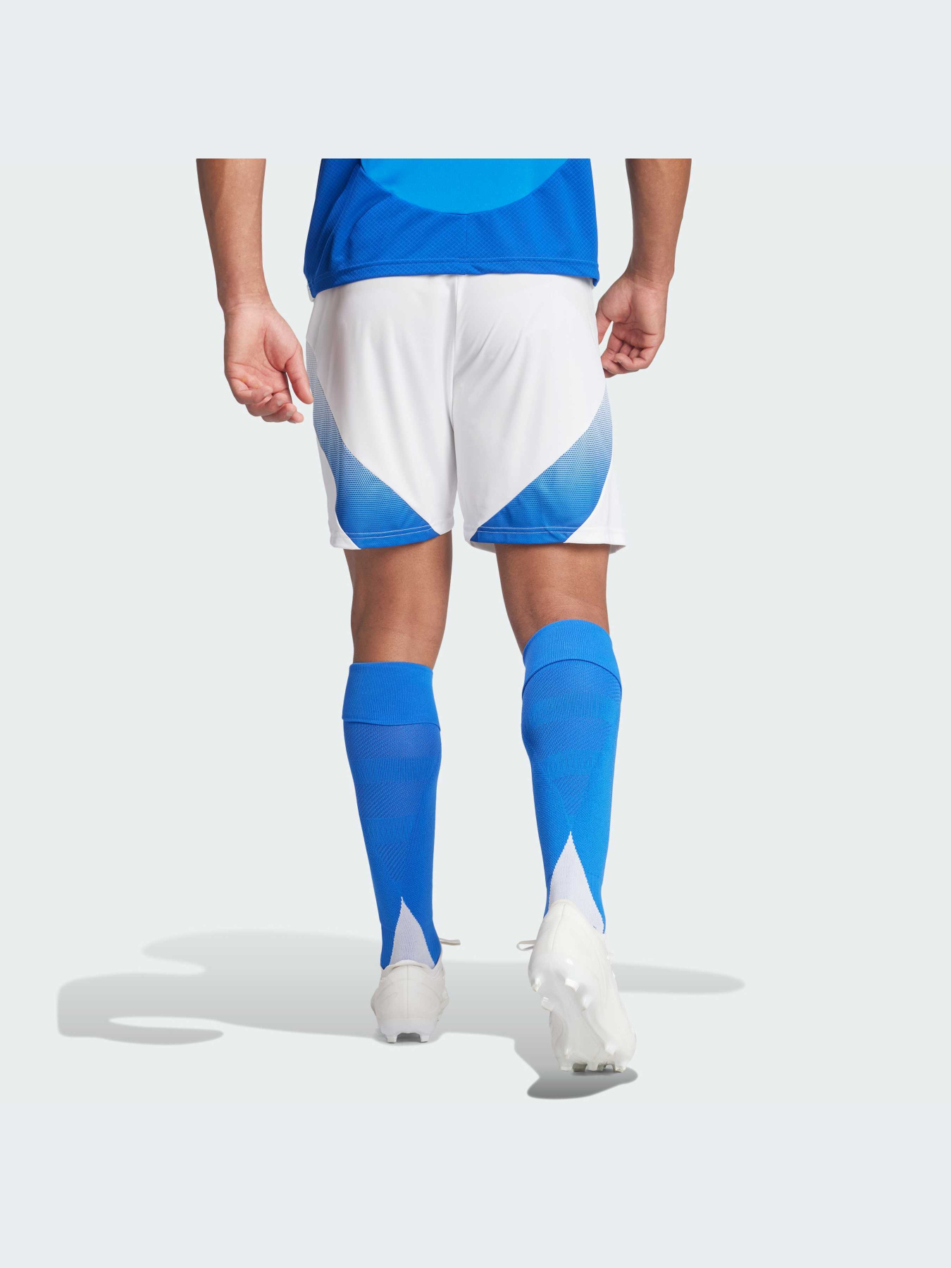 Шорты Adidas модель IQ0494-KZ Фото
