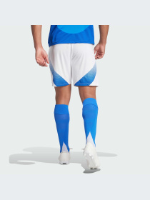 Шорты Adidas модель IQ0494-KZ Фото