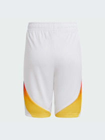 Шорты Adidas модель IP8138-KZ Фото