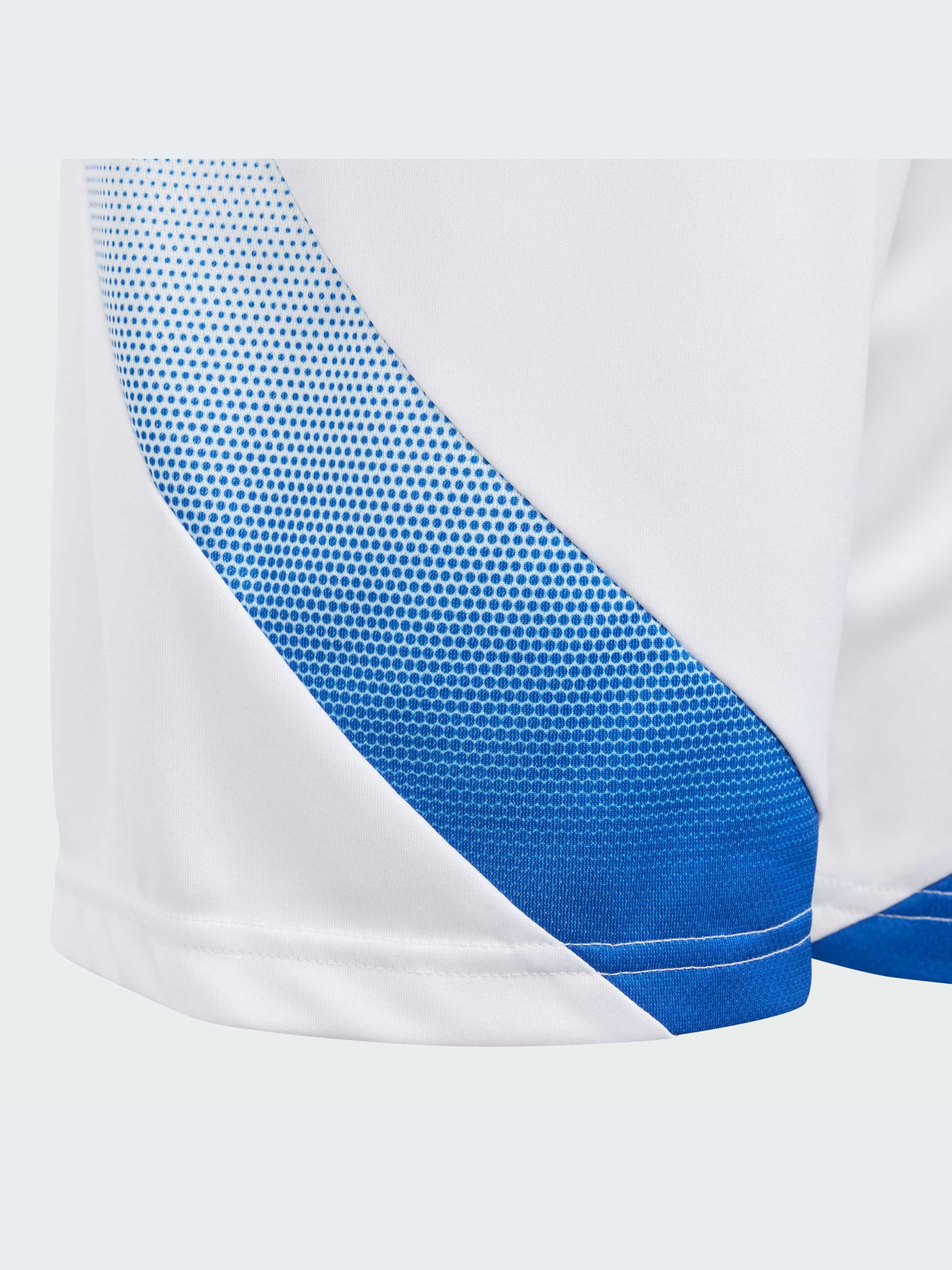 Шорты Adidas модель IS7276-KZ Фото