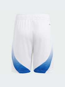 Шорты Adidas модель IS7276-KZ Фото