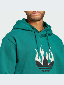 Худи и свитшоты Adidas Graphics модель IS0202-KZ Фото