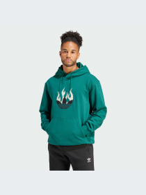 Худи и свитшоты Adidas Graphics модель IS0202-KZ Фото