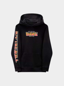 Худи и свитшоты Vans модель VN000GC9BLK1 Фото