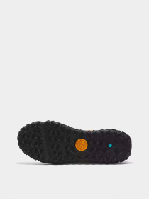 Кроссовки Timberland модель TB0A5TPC2311 Фото