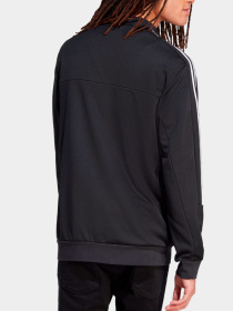 Худи и свитшоты Adidas модель IA3047 Фото