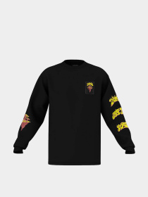 Худи и свитшоты Vans модель VN000G4GBLK1 Фото