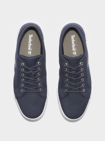 Кеды Timberland модель TB0A66NNEP41 Фото
