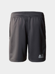 Шорты The North Face модель NF0A87J4WUO1 Фото