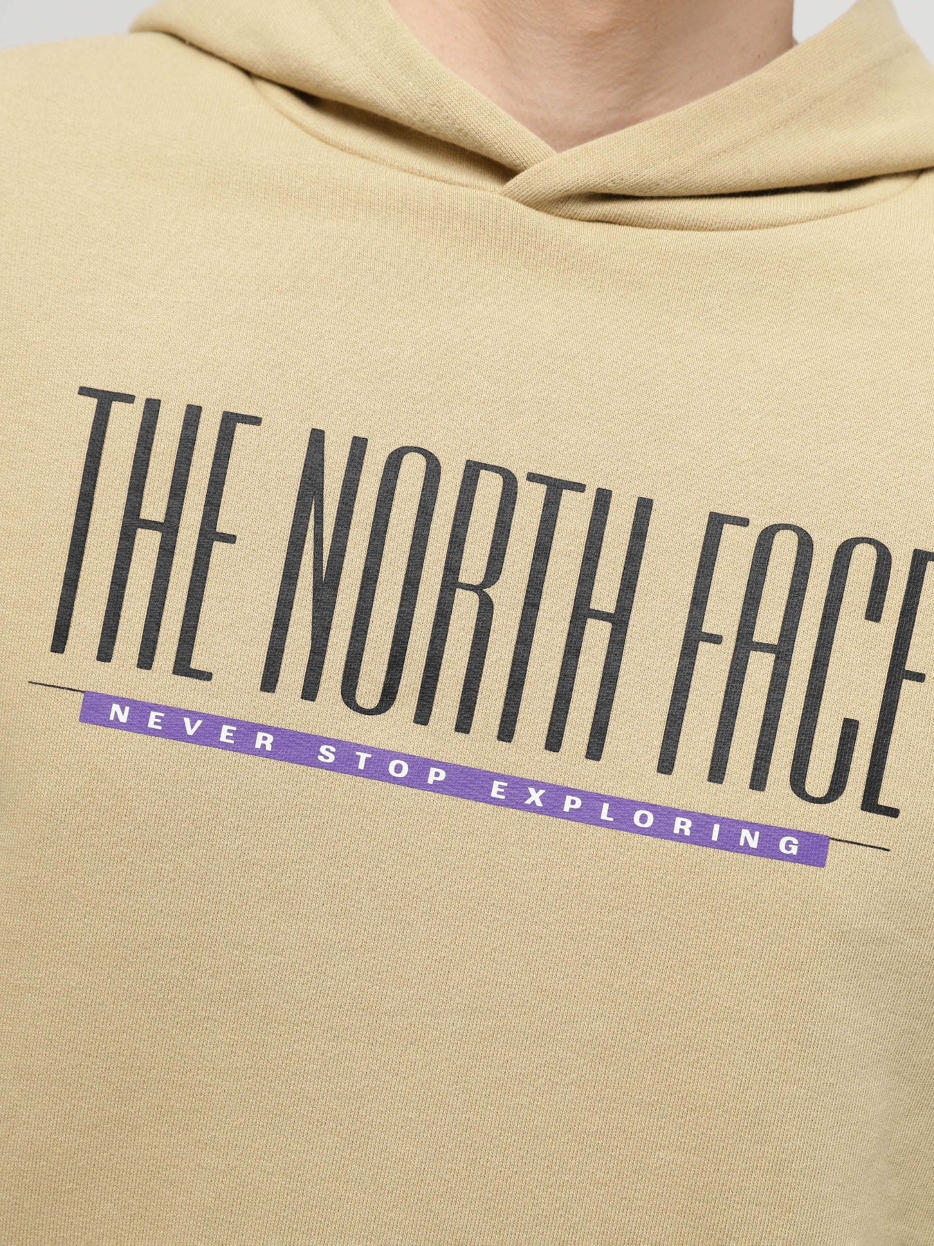 Худи и свитшоты The North Face модель NF0A87E5LK51 Фото