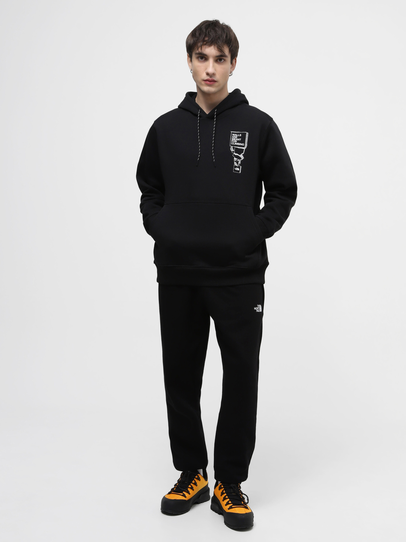 Худи и свитшоты The North Face модель NF0A87FGJK31 Фото