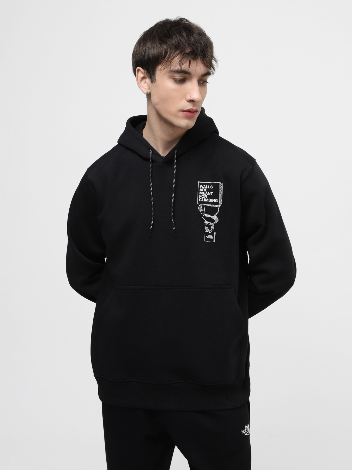 Худи и свитшоты The North Face модель NF0A87FGJK31 Фото