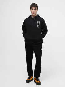Худи и свитшоты The North Face модель NF0A87FGJK31 Фото