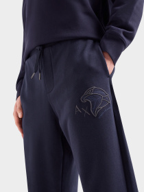 Брюки Armani Exchange модель 3DZPHQ-ZJ9KZ-15CX Фото