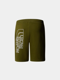 Шорты The North Face модель NF0A3S4FPIB1 Фото