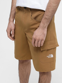 Шорты The North Face модель NF0A824D1731 Фото