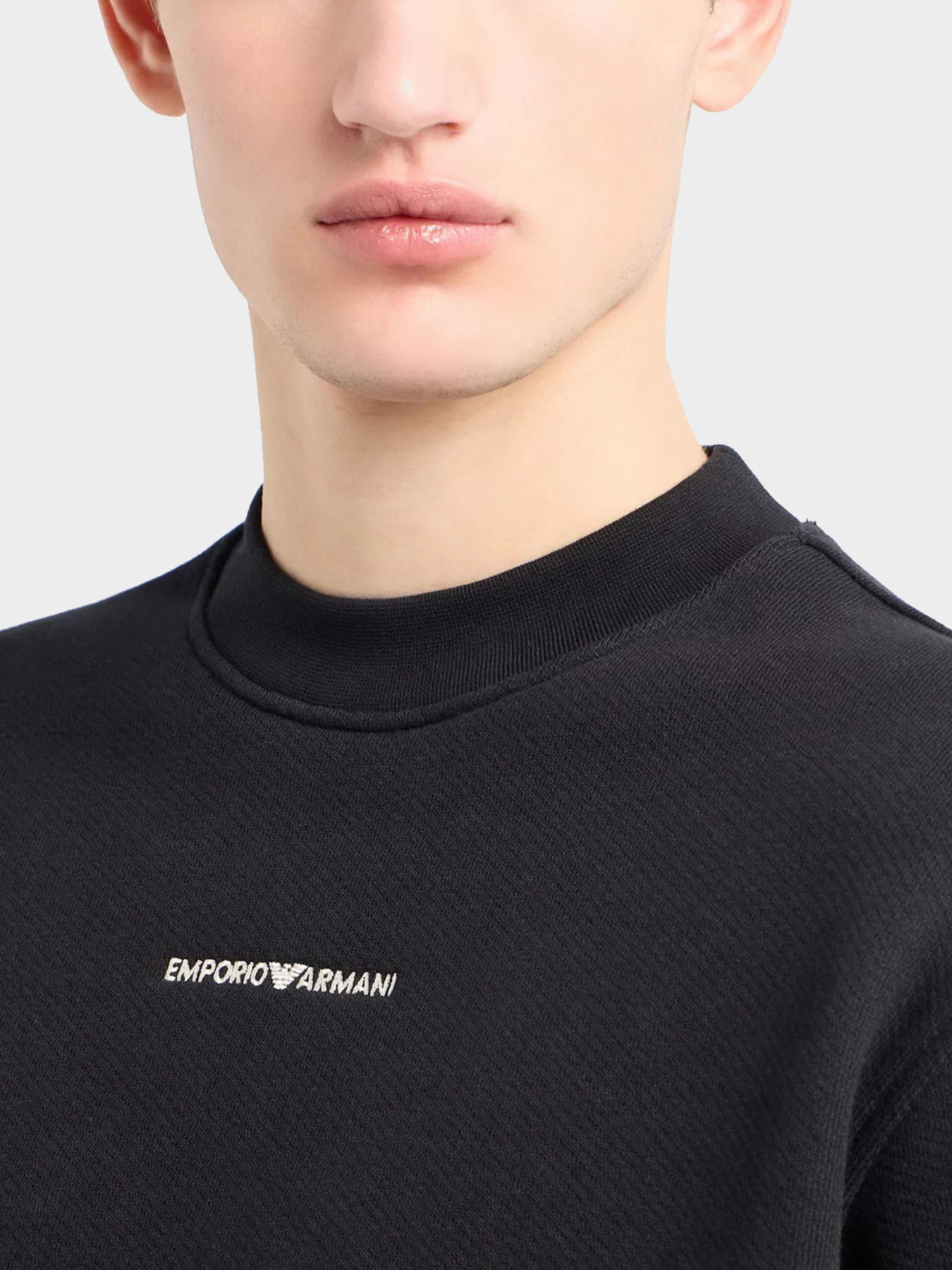 Худи и свитшоты Emporio Armani модель 3D1MEC-1JODZ-0033 Фото