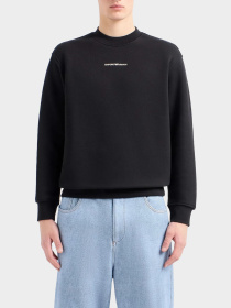 Худи и свитшоты Emporio Armani модель 3D1MEC-1JODZ-0033 Фото
