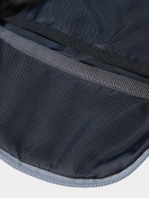 Сумки The North Face модель NF0A52TMEP41 Фото